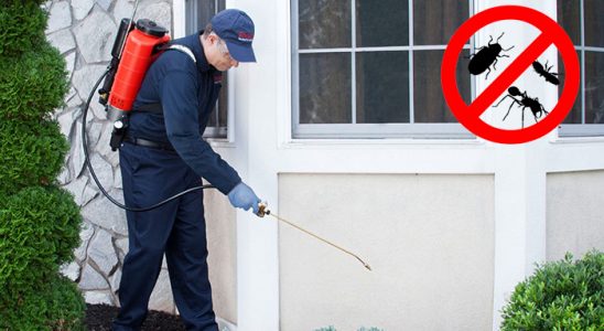 Saruhanlı Pire İlaçlama böcek ilaçlama ve haşere kontrolü — ilaclama-tr.com